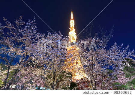 東京塔和櫻花盛開的夜晚 東京塔和櫻花盛開的夜晚 98293652