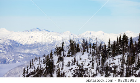 Snow and Cloud covered Canadian Nature Landscape Background. Winter Season in Whistler 98293988