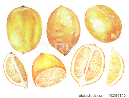 Yellow lemon. Watercolor illustration. Isolated on a white background. For your design stickers, nature prints, kitchen accessories, product packaging with citrus acid or scent 98294122