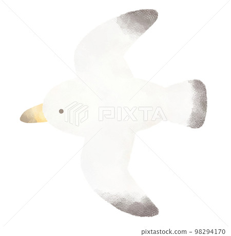 Flying seagull Flying seagull 98294170