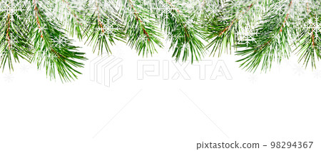 Winter boreder with pine twigs and snowflakes isolated on white Winter boreder with pine twigs and snowflakes isolated on white 98294367