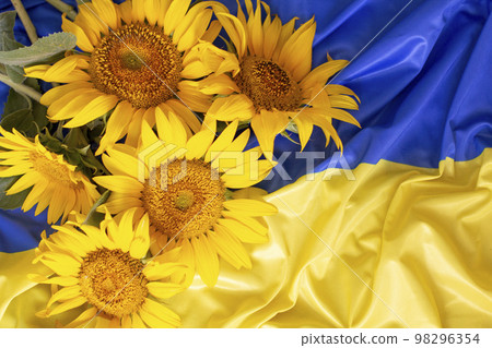 Flag of Ukraine and sunflowers 98296354