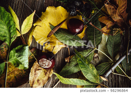 Autumn wooden background with maple leaves with copy space Autumn wooden background with maple leaves with copy space 98296864