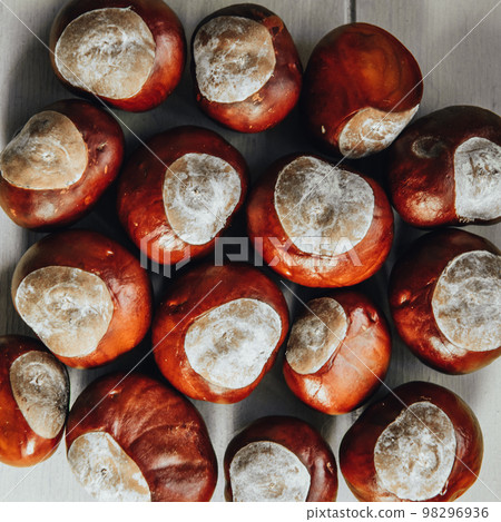 Ripe chestnuts on old wooden table and sack napkin close up with copy space. Raw Chestnuts for Christmas Ripe chestnuts on old wooden table and sack napkin close up with copy space. Raw Chestnuts for Christmas 98296936