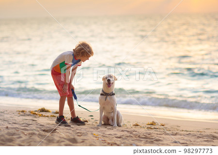 Child and dog playing on tropical beach 98297773