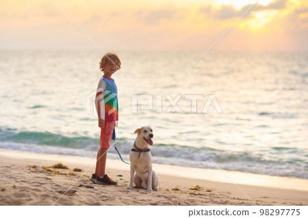 Child and dog playing on tropical beach Child and dog playing on tropical beach 98297775