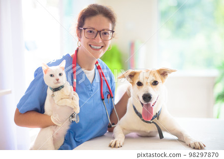 Vet examining dog. Puppy at veterinarian doctor. Vet examining dog. Puppy at veterinarian doctor. 98297870