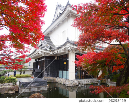 昇龍寺城的秋葉[京都府長岡京市昇龍寺] 2022年11月 98298439