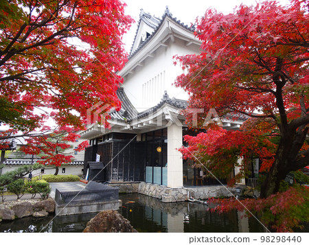 昇龍寺城的秋葉[京都府長岡京市昇龍寺] 2022年11月 98298440