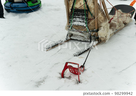 forest alaska ice dog outdoor tourism white run sleigh nature landscape travel cold husky snow forest alaska ice dog outdoor tourism white run sleigh nature landscape travel cold husky snow 98299942