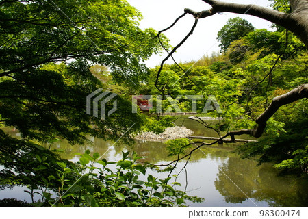 Joruri寺 98300474