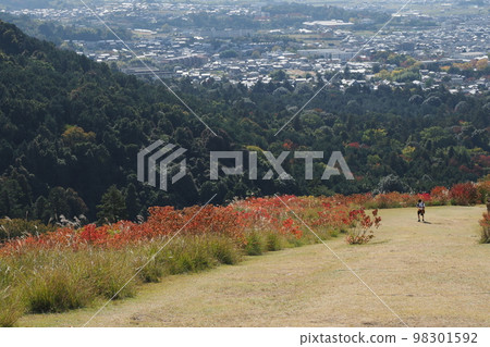 攀登若草山 攀登若草山 98301592