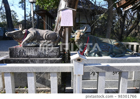 Statue of a cow at Nagaoka Tenmangu Shrine Statue of a cow at Nagaoka Tenmangu Shrine 98301766
