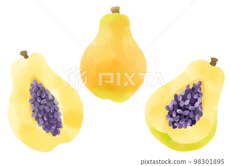 Papaya illustration set expressed in watercolor 98301895