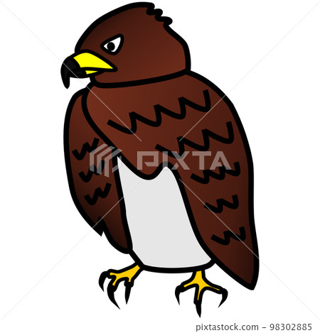 獵鷹的插圖，有著流行和可愛但敏銳的眼睛 98302885