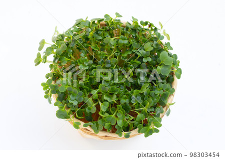 Kale sprouts on white background. 98303454