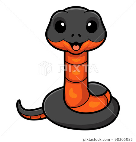 Cute copperbelly water snake cartoon Cute copperbelly water snake cartoon 98305085