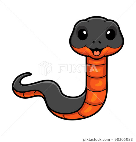 Cute copperbelly water snake cartoon Cute copperbelly water snake cartoon 98305088