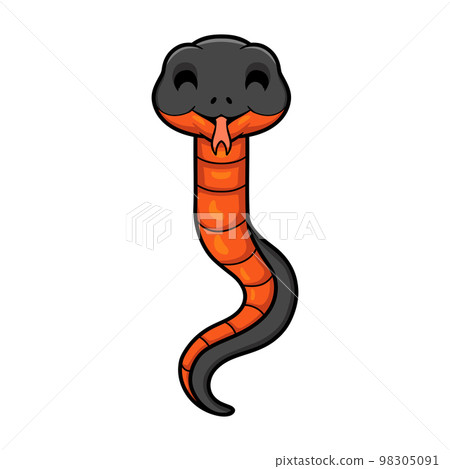 Cute copperbelly water snake cartoon Cute copperbelly water snake cartoon 98305091