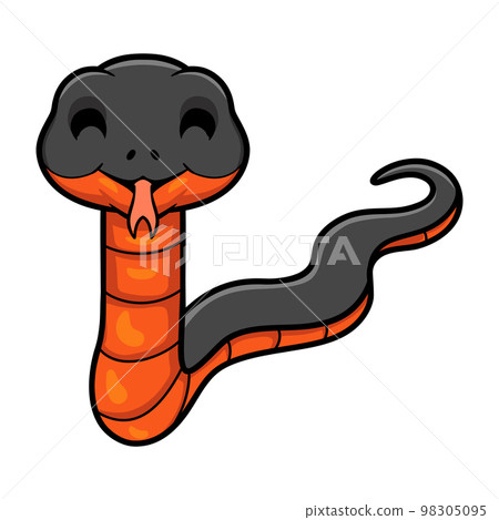 Cute copperbelly water snake cartoon Cute copperbelly water snake cartoon 98305095