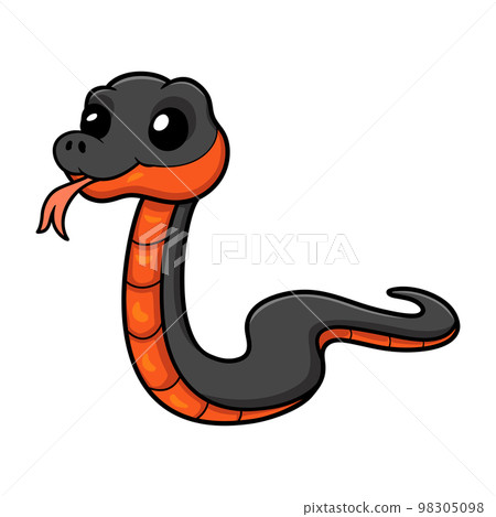Cute copperbelly water snake cartoon Cute copperbelly water snake cartoon 98305098