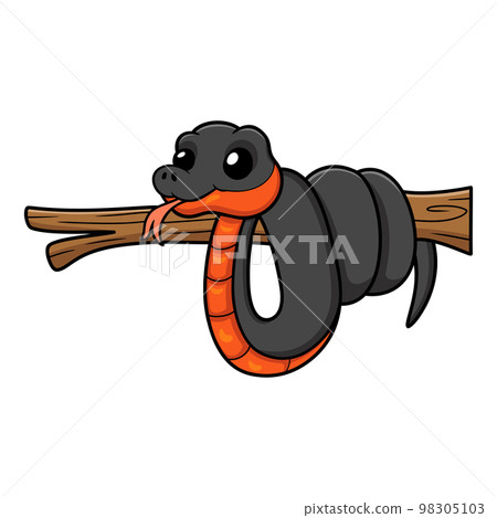 Cute copperbelly water snake cartoon on tree branch Cute copperbelly water snake cartoon on tree branch 98305103