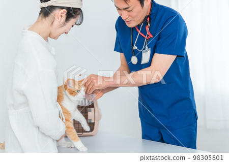 A cat being examined by a veterinarian at an animal hospital and its owner, an Asian woman (pet Elizabeth Collar) 98305801