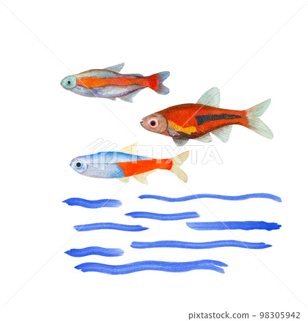 Watercolor illustration of a set of marine fauna isolated on white background. Print, design, poster, banner, background, menus, souvenirs, decor, wallpaper, fabric, textile, wrapping. 98305942