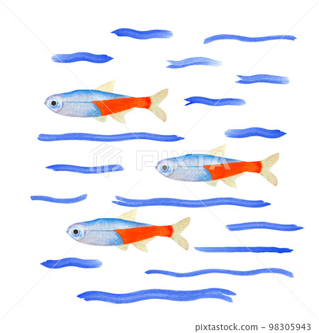 Watercolor illustration of a set of marine fauna isolated on white background. Print, design, poster, banner, background, menus, souvenirs, decor, wallpaper, fabric, textile, wrapping. Watercolor illustration of a set of marine fauna isolated on white background. Print, design, poster, banner, background, menus, souvenirs, decor, wallpaper, fabric, textile, wrapping. 98305943