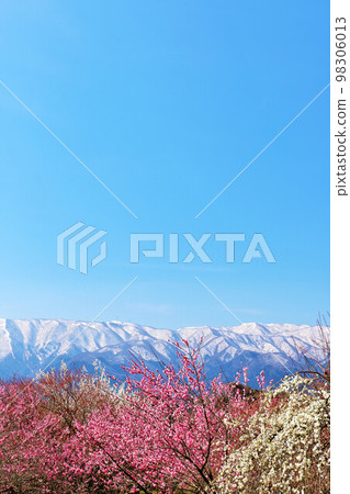 三重縣，從藍天下的因鍋梅林公園眺望 98306013