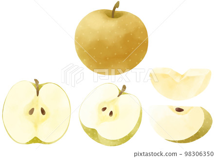 以水彩表達的梨插圖集 98306350