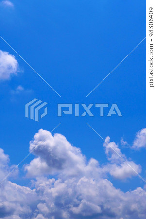 ≪垂直≫ 藍天雷雨 98306409