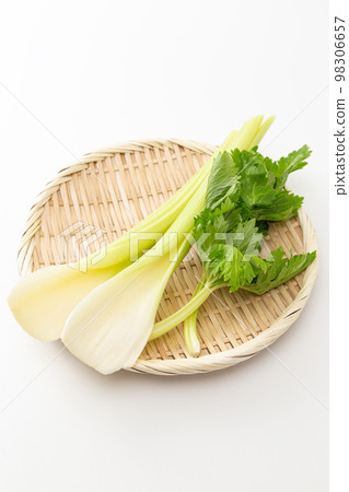 Celery in a colander white background 98306657