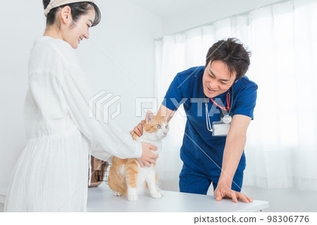 A cat being examined by a veterinarian at an animal hospital and the owner's Asian woman (pet) 98306776