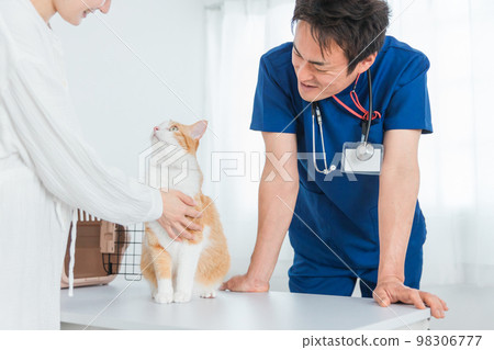A cat being examined by a veterinarian at an animal hospital and the owner's Asian woman (pet) A cat being examined by a veterinarian at an animal hospital and the owner's Asian woman (pet) 98306777