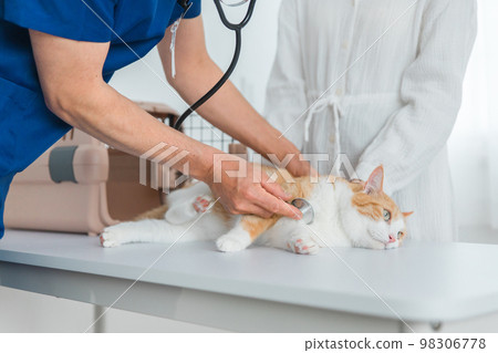 一隻貓在動物醫院接受獸醫檢查和她主人的亞裔女人(寵物、聽診器) 一隻貓在動物醫院接受獸醫檢查和她主人的亞裔女人(寵物、聽診器) 98306778
