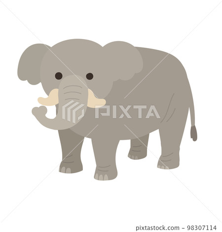 quadrupedal elephant 98307114