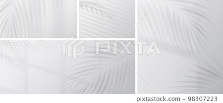 Palm leaves shadow overlay on wall 98307223