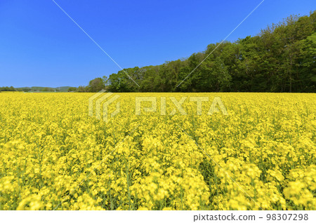 強姦花田和藍天在一邊 98307298