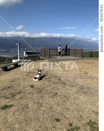 A dog that wants a stranger to stroke it A dog that wants a stranger to stroke it 98307641