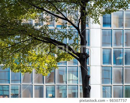Business buildings facade in downtown Taipei. 98307737
