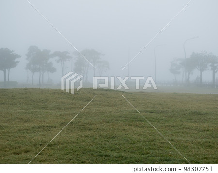 mist landscape in morning in winter 98307751