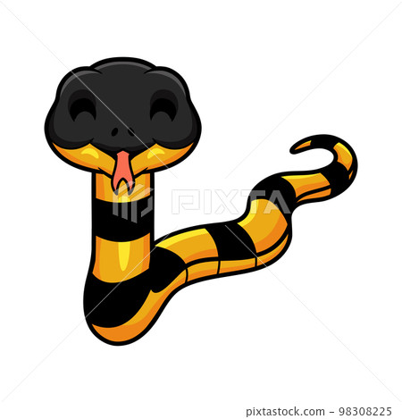 Cute banded krait bungarus candidus cartoon Cute banded krait bungarus candidus cartoon 98308225