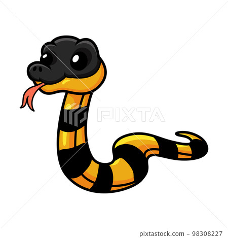 Cute banded krait bungarus candidus cartoon 98308227