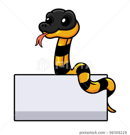 Cute banded krait bungarus candidus with blank sign 98308228