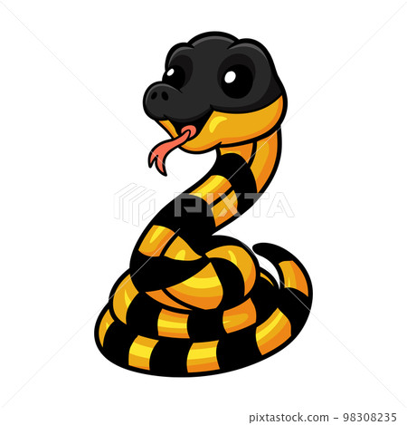 Cute banded krait bungarus candidus cartoon 98308235