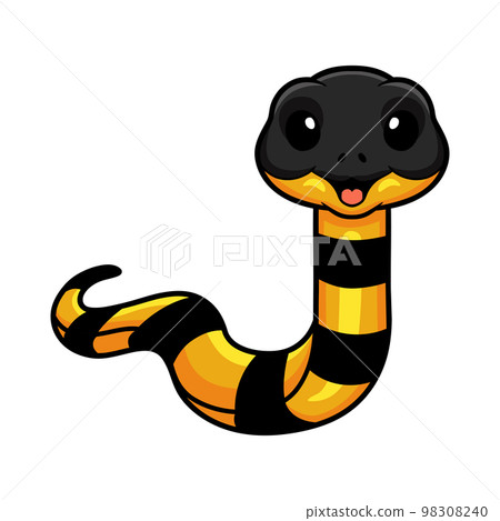 Cute banded krait bungarus candidus cartoon 98308240
