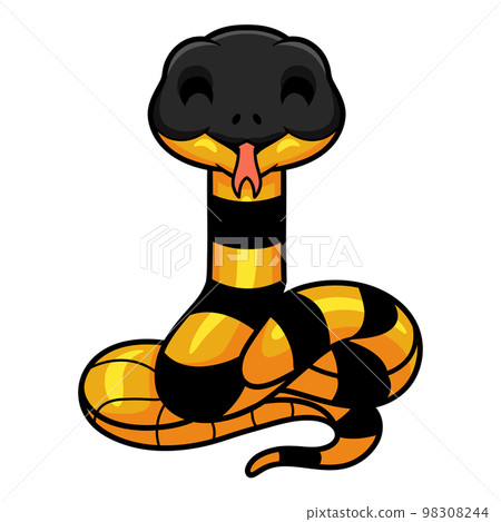 Cute banded krait bungarus candidus cartoon 98308244