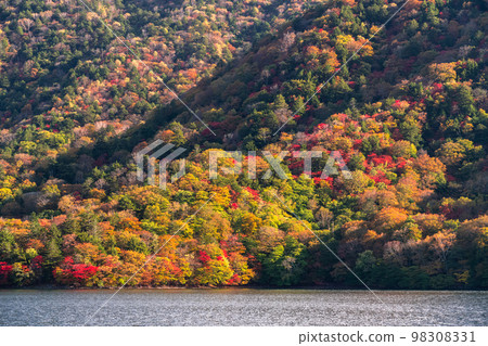 "Tochigi Prefecture" Lake Chuzenji in Okunikko and autumn leaves in autumn "From the Lake Chuzenji Pleasure Boat" "Tochigi Prefecture" Lake Chuzenji in Okunikko and autumn leaves in autumn "From the Lake Chuzenji Pleasure Boat" 98308331