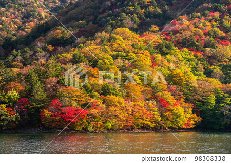 “栃木縣”奧日光的中禪寺湖和秋天的紅葉“來自中禪寺湖遊船” “栃木縣”奧日光的中禪寺湖和秋天的紅葉“來自中禪寺湖遊船” 98308338